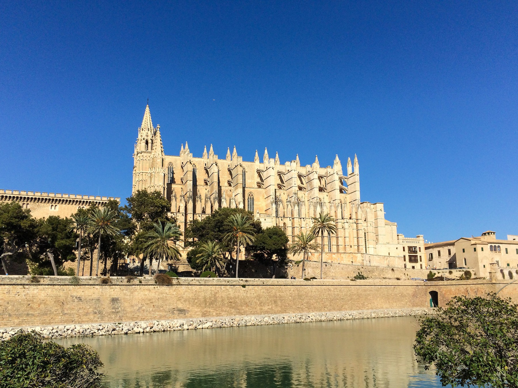 Qué tiempo hace en palma de mallorca